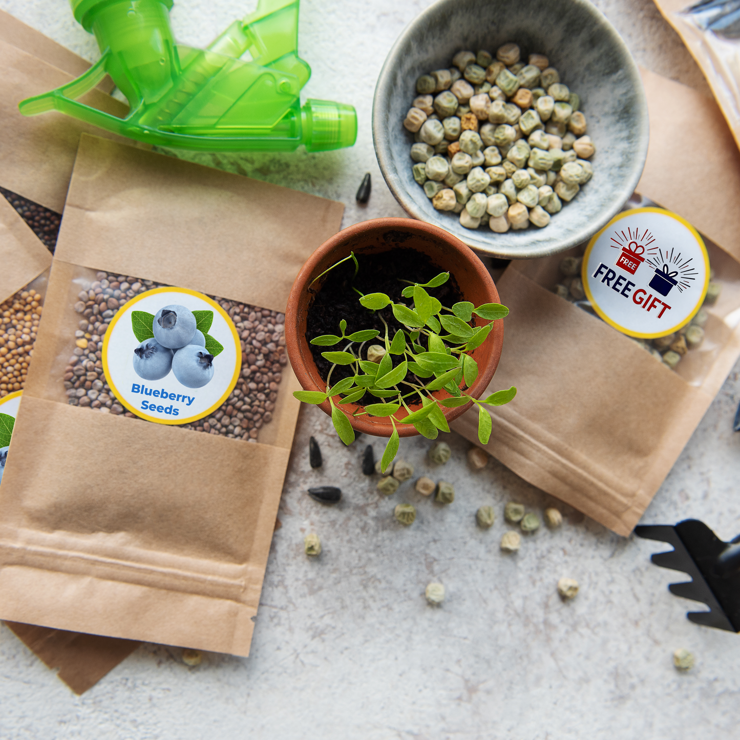 Blueberry Seeds