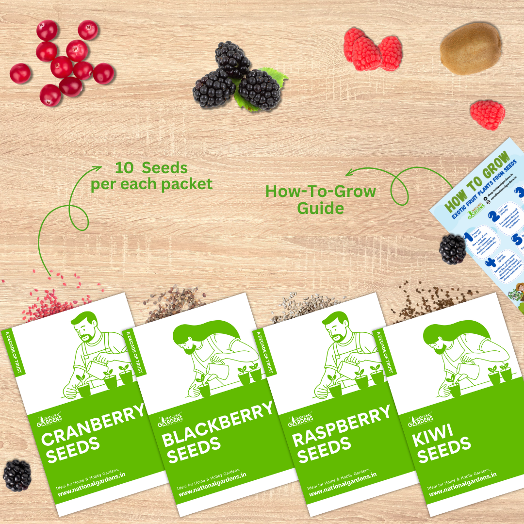 Exotic Fruit Seeds | Blackberry, Raspberry, Cranberry, Kiwi