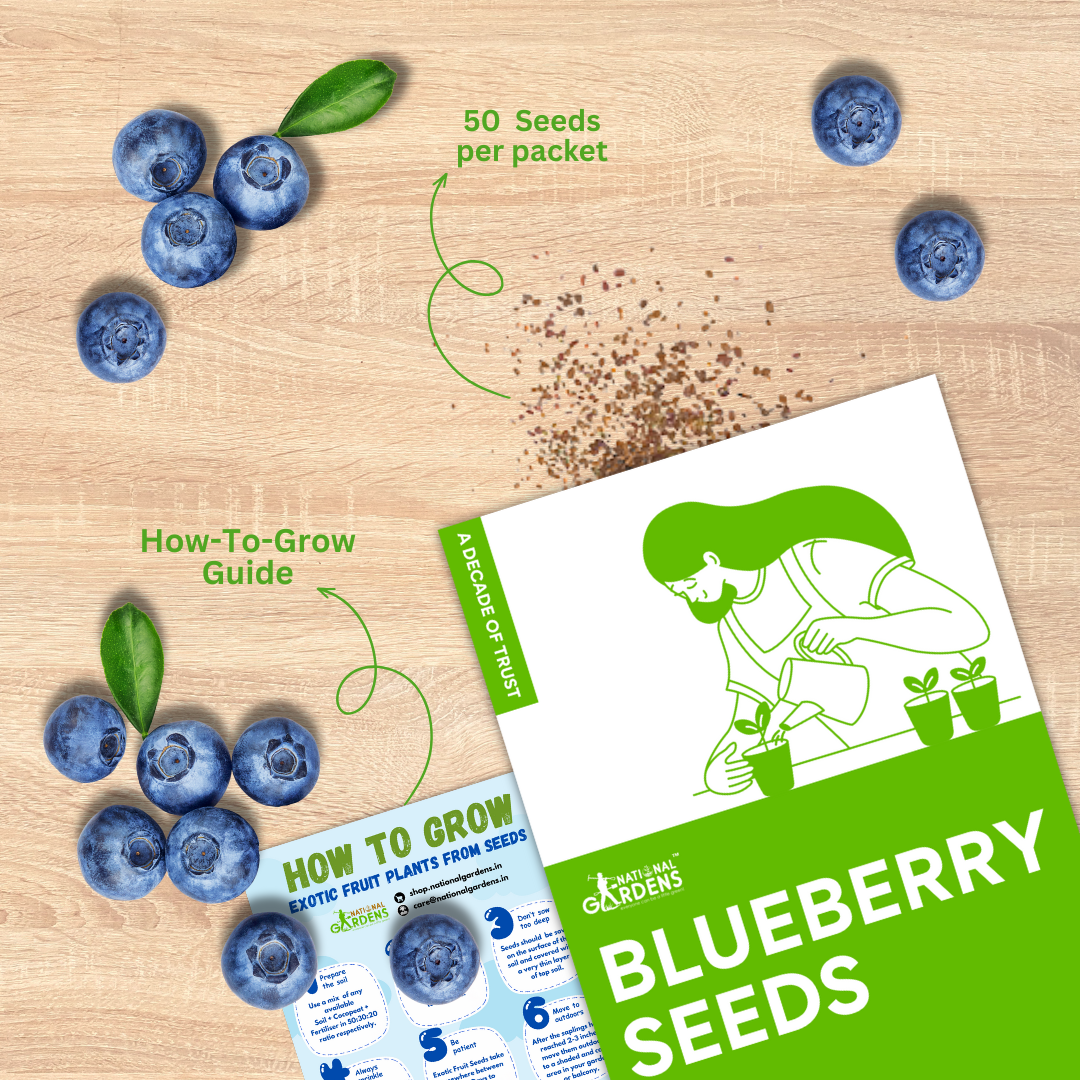 Blueberry Seeds