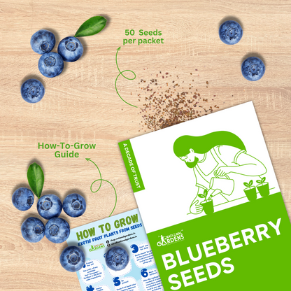 Blueberry Seeds